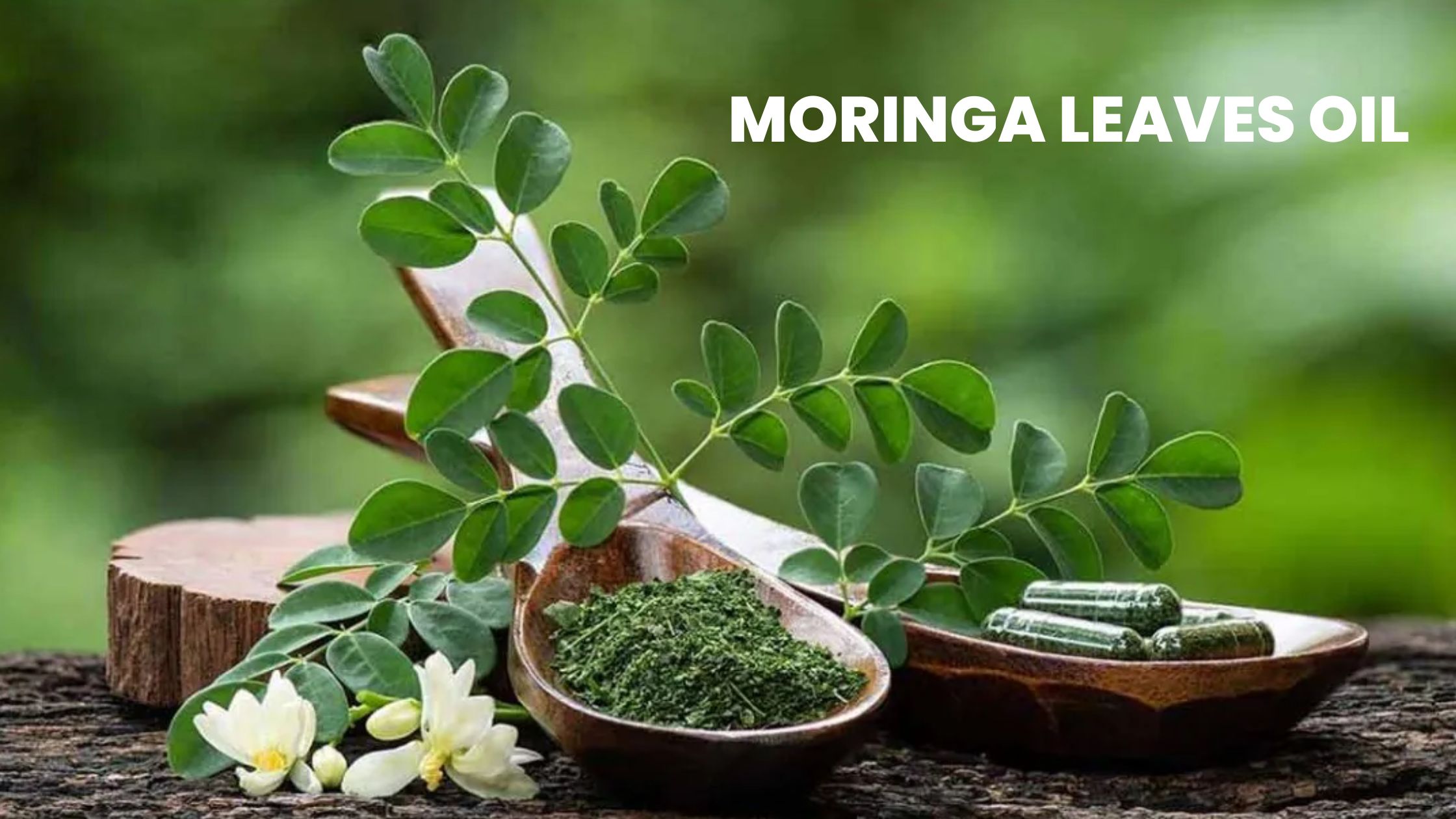 Benefits of Moringa Leaves Oil 